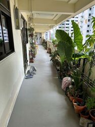 Blk 803 King George's Avenue (Kallang/Whampoa), HDB 3 Rooms #498120111